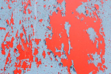 dokular ve soyulması boya, renk gösteren portre resim 