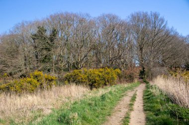 Footpath at Snape, Suffolk, England, United Kingdom