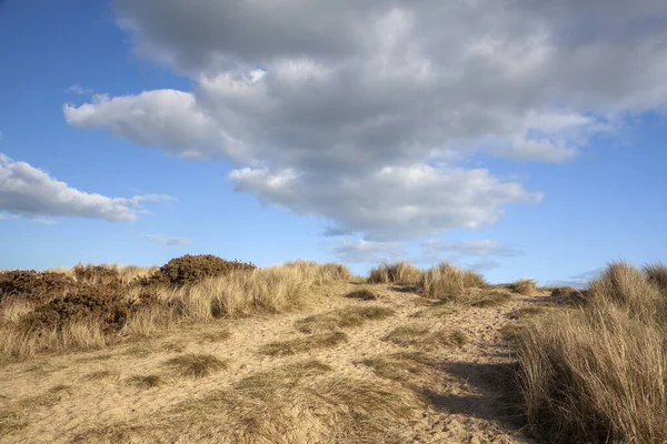 Fußwege Durch Die Gräser Strand Von Walberswick Suffolk England Großbritannien — Stockfoto