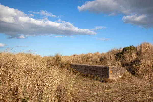 联合王国萨福克Walberswick海滩的混凝土块 — 图库照片