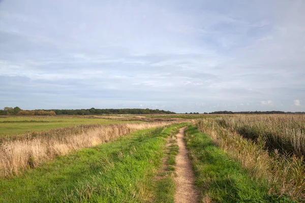 Footpath Snape Suffolk England United Kingdom — ストック写真