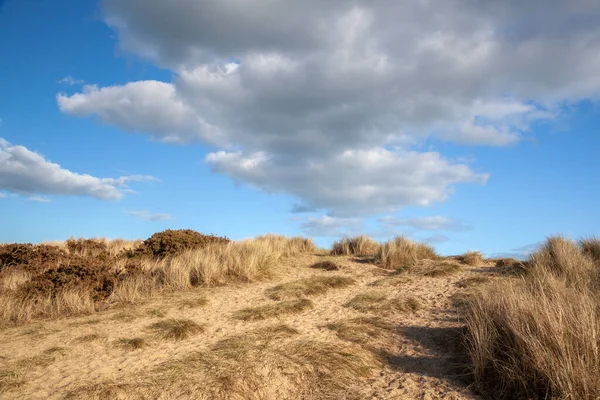 Footpaths Grasses Walberswick Beach Suffolk England United Kingdom Royalty Free Stock Images