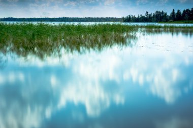 Uzun pozlama ile orman göl