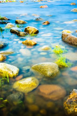 sabah güneş ışığı altında Sahil kayalar