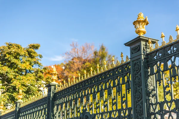 Iron fence in garden