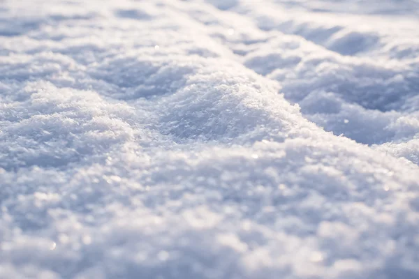 雪 — ストック写真