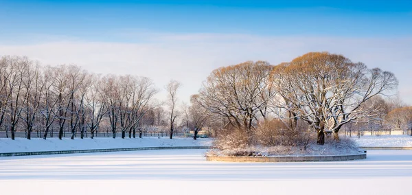 Paisaje invierno —  Fotos de Stock