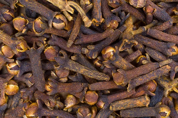 karanfil