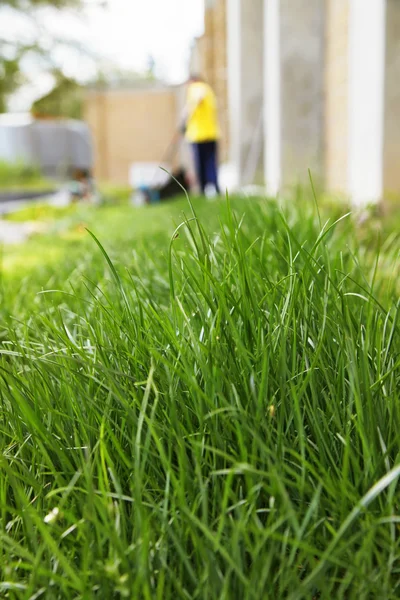 Grass and lawn mowing Stock Picture