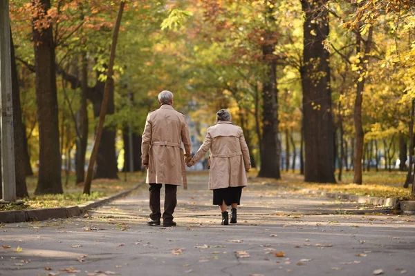 Antiguo Jubilado Feliz Pareja Amante Caminar Parque Otoño — Foto de Stock