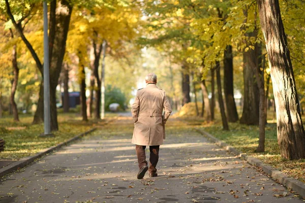 Γέροι Συνταξιούχοι Παππούς Περπατάει Στο Πάρκο Φθινόπωρο Φωτογραφία Αρχείου