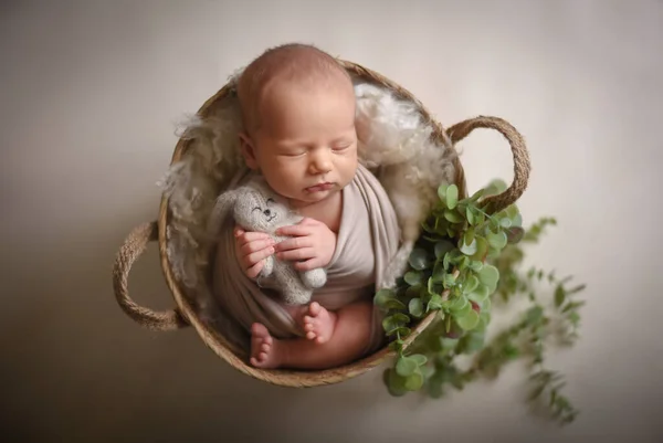 Sevimli Yeni Doğmuş Erkek Bebek — Stok fotoğraf