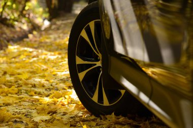 Sonbahar arka planında siyah araba