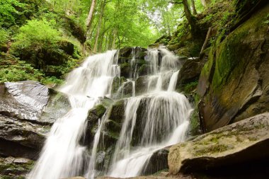 Vahşi Doğada Şelale