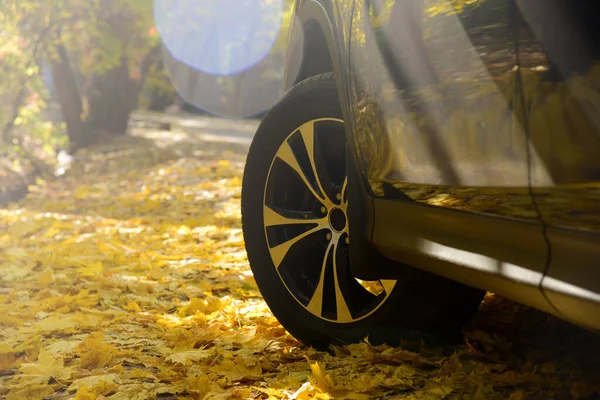 Schwarzes Auto Auf Herbsthintergrund — Stockfoto