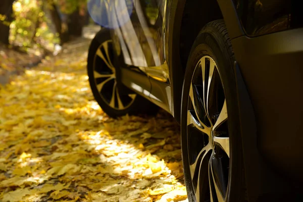 Black Car Autumn Background — Stock fotografie