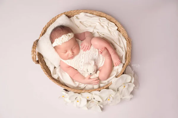 Bonito Pouco Recém Nascido Menina Poses Coloca Dorme — Fotografia de Stock