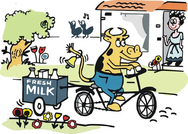 Vector cartoon of happy cow delivering milk on bicycle. — Stock Vector