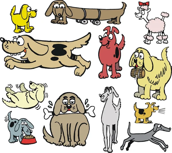 Groupe vectoriel dessin animé de types de chiens — Image vectorielle