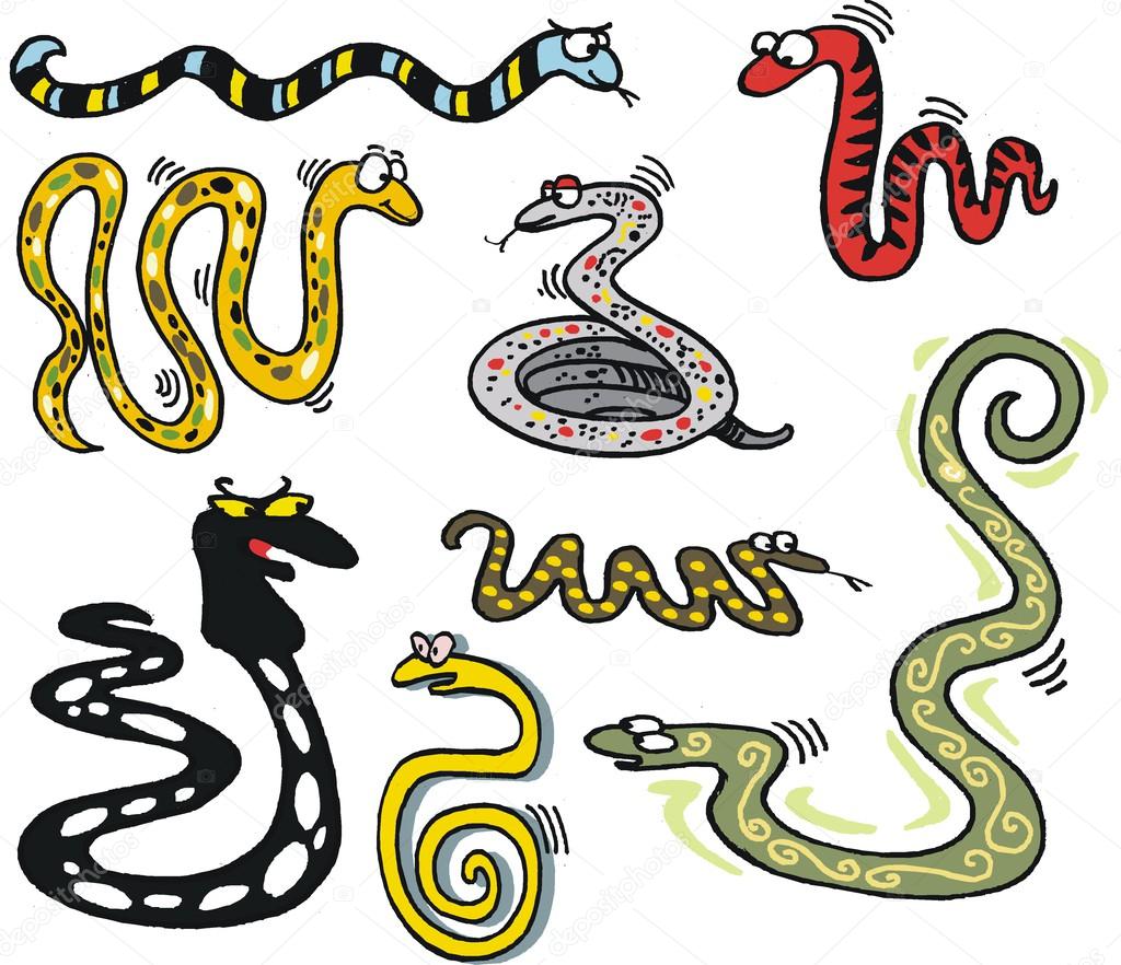 Vector cartoon showing group of snakes
