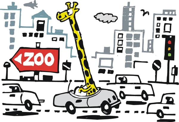 Caricature vectorielle de girafe voiture de conduite en ville — Image vectorielle