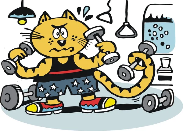 Caricature vectorielle de chat utilisant des poids dans le gymnase . — Image vectorielle