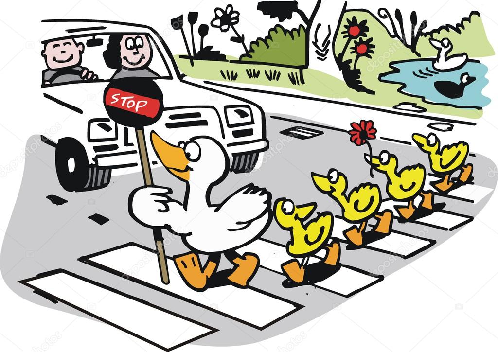 Vector cartoon of duck with ducklings crossing road.