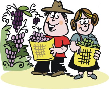 vektör karikatür mutlu erkek ve kadın üzüm toplama