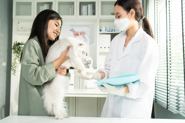 Asian Pet Owner Woman Take Little Cat Veterinary Clinic Examine — Stock fotografie