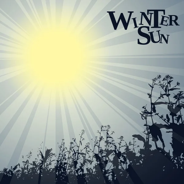 Thema Wintersonne — Stockvektor