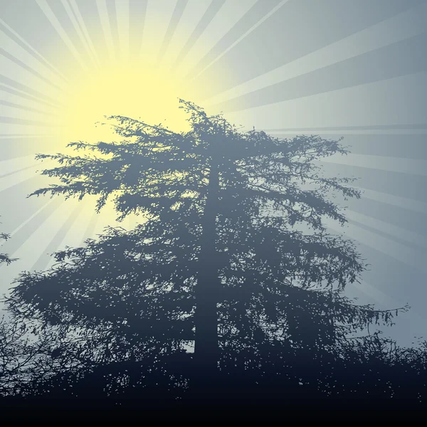 Arbre thème soleil hiver — Image vectorielle