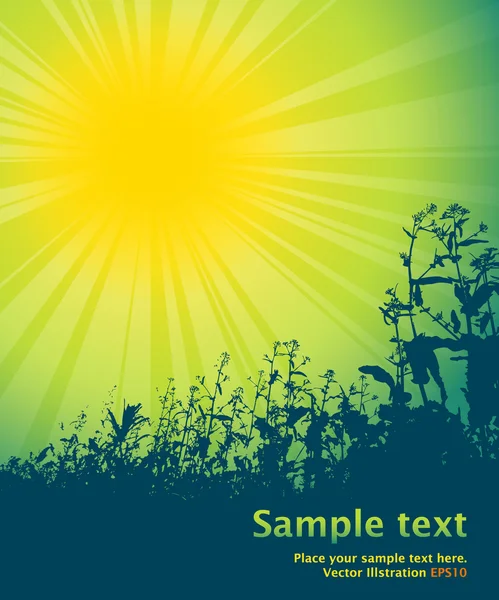 Весеннее солнце текст темы — стоковый вектор