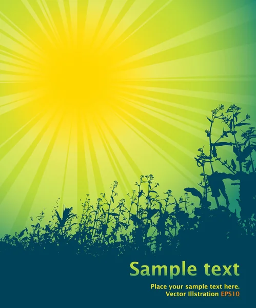 Primavera sol tema texto — Vector de stock