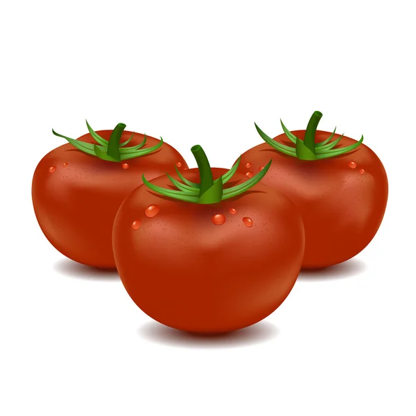Vektor roter frischer Tomaten zur Zubereitung von Lebensmitteln in weißer Isolierung — Stockvektor