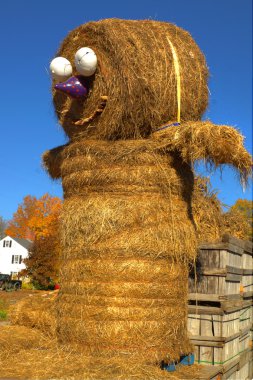Hay Roll Man