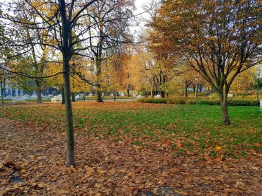 Şehrin en güzel parkı.