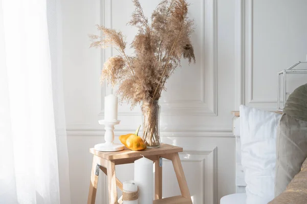 Arredo domestico moderno con pampas erba essiccata in vaso. Scandinavo moderno bianco accogliente eco interno in stile minimalista. — Foto Stock