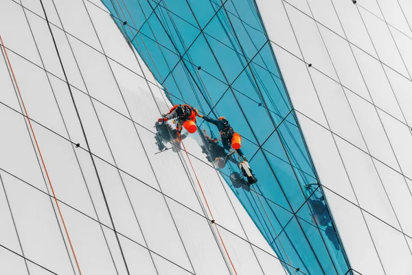 Rope access technicians cleaning windows on commercial high-rise buildings. Two mans cleaning windows on a high-rise building.