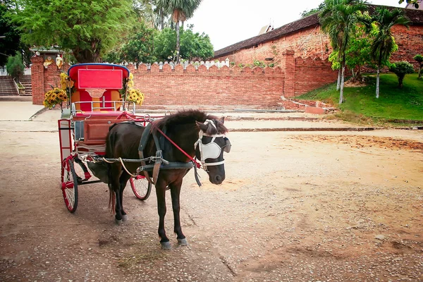 Carrozza a cavallo in Thailandia Immagine Stock
