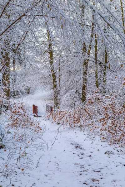 Kar, kış sabahının erken saatlerinde çıplak bir ormanın içinden geçen tahta bir yaya köprüsü ile yolu kapadı..