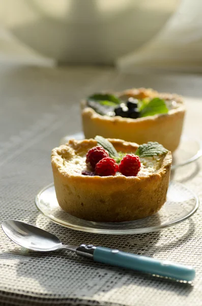 Two mini berry tarts — Stock Photo, Image