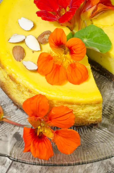 Pumpkin cheesecake on glass plate — Stock Photo, Image