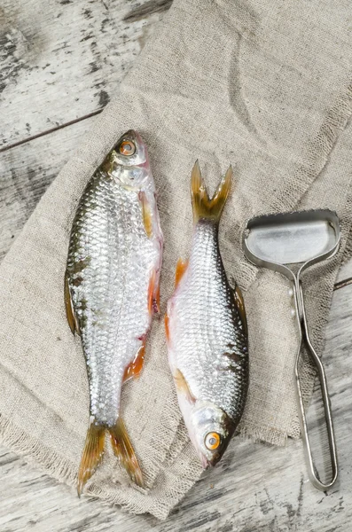 Two roaches fish on a linen napkin. — Stock Photo, Image