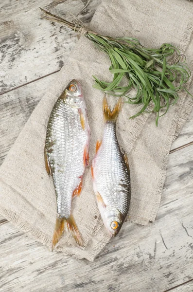 Two roaches fish on a linen napkin. — Stock Photo, Image