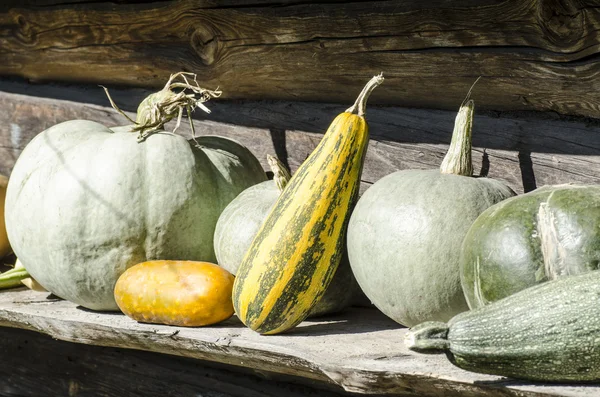 Fresh vegetables on old rustic background — Stock Photo, Image