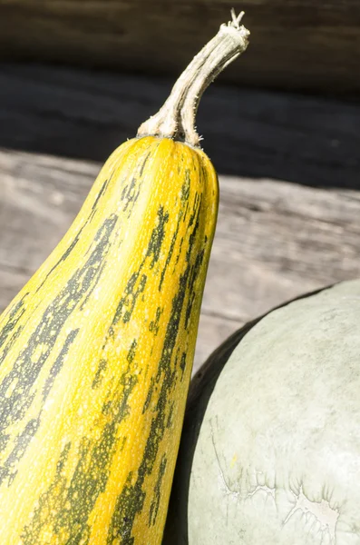 Fresh vegetables on old rustic background — Stock Photo, Image