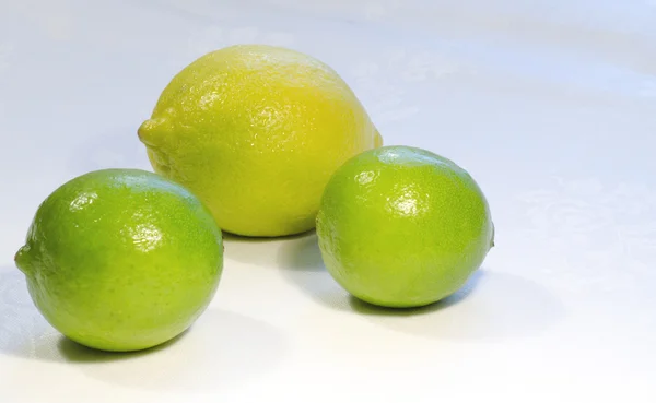 Citrons et citrons verts sur fond blanc — Photo