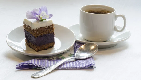 Blueberry's pie bars with ricotta cream — Stock Photo, Image