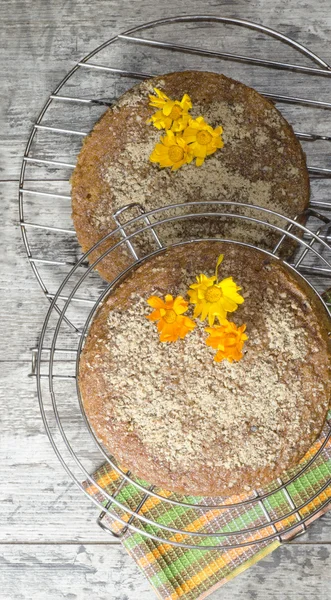 Pumpkin cake with spiced and ground walnuts — Stock Photo, Image