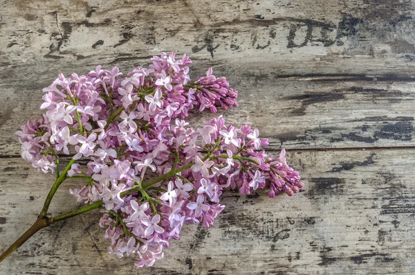 Branche lilas sur la vieille table en bois . — Photo